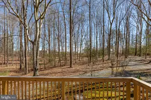 264 Holly Corner Rd, Fredericksburg, VA 22406 - Photo 51