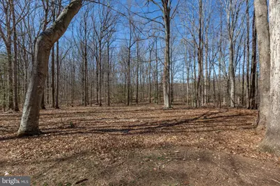 264 Holly Corner Road, Fredericksburg, VA 22406 - Photo 43