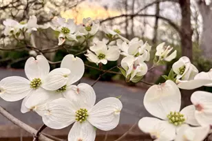 104 Blaisdell Ln, Fredericksburg, VA 22405 - Photo 5