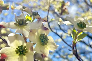 104 Blaisdell Ln, Fredericksburg, VA 22405 - Photo 9