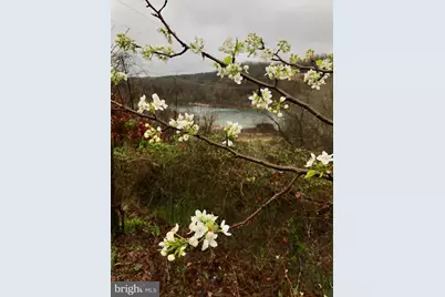 104 Blaisdell Lane, Fredericksburg, VA 22405 - Photo 1