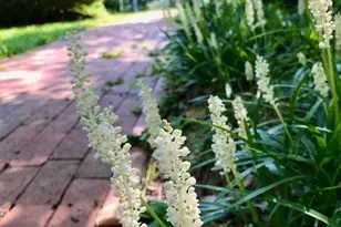 104 Blaisdell Ln, Fredericksburg, VA 22405 - Photo 11