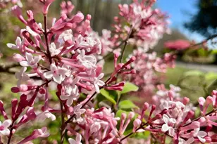 104 Blaisdell Ln, Fredericksburg, VA 22405 - Photo 13