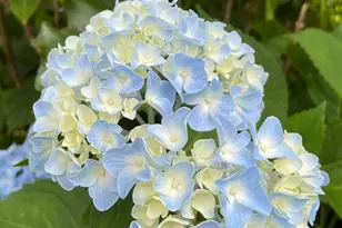 104 Blaisdell Ln, Fredericksburg, VA 22405 - Photo 9