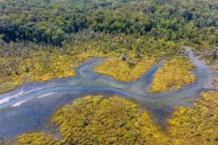 2225 Camp Geary Ln, Stafford, VA 22554 - Photo 85