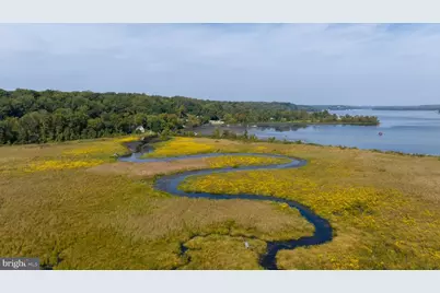 2225 Camp Geary Lane, Stafford, VA 22554 - Photo 95