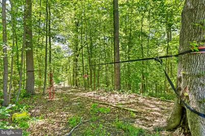 2225 Camp Geary Lane, Stafford, VA 22554 - Photo 63