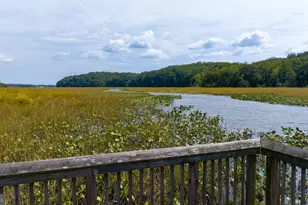 2225 Camp Geary Ln, Stafford, VA 22554 - Photo 91