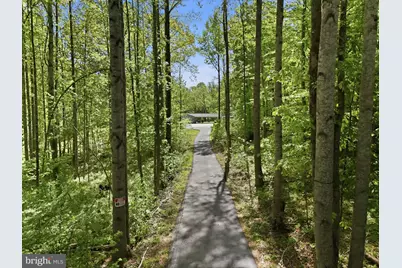 241 Cropp Road, Fredericksburg, VA 22406 - Photo 5