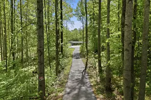 241 Cropp Rd, Fredericksburg, VA 22406 - Photo 5