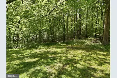 241 Cropp Road, Fredericksburg, VA 22406 - Photo 57