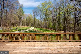 38 Fire Trail Ln, Fredericksburg, VA 22406 - Photo 35