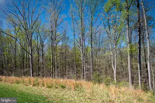 54 Boxelder Dr, Stafford, VA 22554 - Photo 51