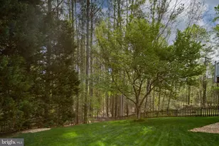 5 Bullrush Ct, Stafford, VA 22554 - Photo 87