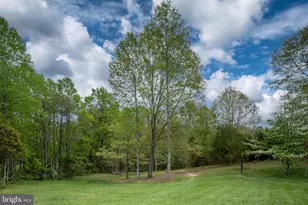 310 Liberty Hall Dr, Fredericksburg, VA 22406 - Photo 55