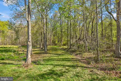 171 Poplar Road, Fredericksburg, VA 22406 - Photo 75