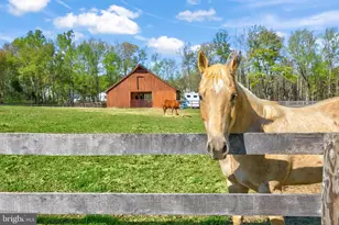 171 Poplar Rd, Fredericksburg, VA 22406 - Photo 49