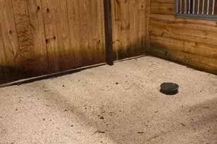 171 Poplar Rd, Fredericksburg, VA 22406 - Photo 59