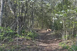 9 King Georges Grant, Fredericksburg, VA 22405 - Photo 31