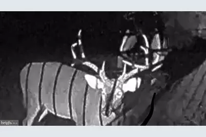 1480 Truslow Road, Fredericksburg, VA 22406 - Photo 51