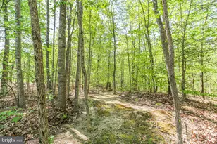 76 Misty Creek Ln, Fredericksburg, VA 22406 - Photo 45