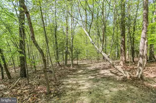 76 Misty Creek Ln, Fredericksburg, VA 22406 - Photo 81