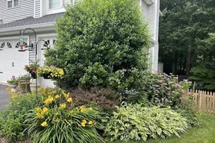 7 Wexwood Ct, Stafford, VA 22554 - Photo 63