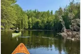 103 Lk Blf Ct, Fredericksburg, VA 22406 - Photo 79