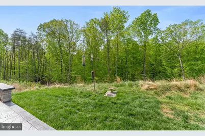 164 Mistflower Court, Stafford, VA 22554 - Photo 7