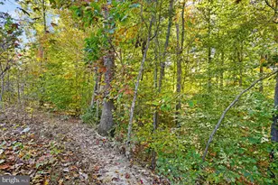397 Pear Blossom Rd, Stafford, VA 22554 - Photo 45