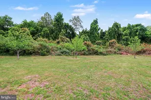 50 Cleek Ln, Fredericksburg, VA 22405 - Photo 5