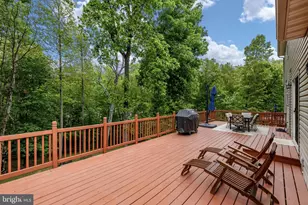 20 Norfolk St, Fredericksburg, VA 22406 - Photo 35