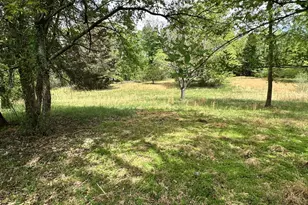 300 Mt Olive Rd, Stafford, VA 22556 - Photo 19