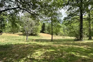 300 Mt Olive Rd, Stafford, VA 22556 - Photo 53