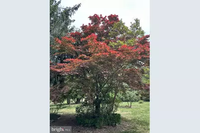 300 Mount Olive Road, Stafford, VA 22556 - Photo 7