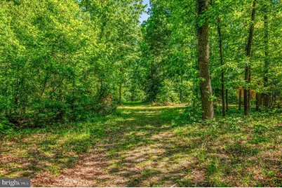279 Poplar Road, Fredericksburg, VA 22406 - Photo 69