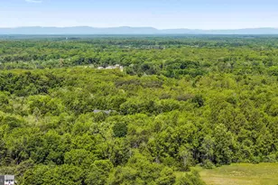 279 Poplar Rd, Fredericksburg, VA 22406 - Photo 83