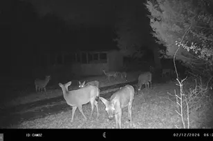 279 Poplar Rd, Fredericksburg, VA 22406 - Photo 103