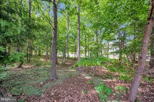70 Colemans Mill Dr, Fredericksburg, VA 22405 - Photo 53