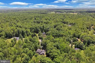45 Amsonia Ct, Stafford, VA 22556 - Photo 93