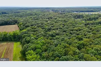 80 Shackelford Well Road, Fredericksburg, VA 22406 - Photo 103