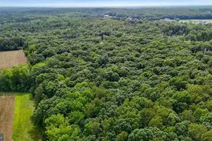 80 Shackelford Well Rd, Fredericksburg, VA 22406 - Photo 103