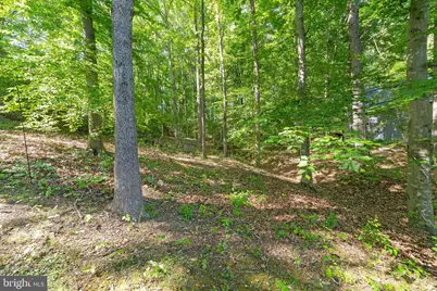 34 Greenridge Drive, Stafford, VA 22554 - Photo 51