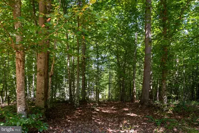 425 Wakerobin Drive, Stafford, VA 22556 - Photo 103
