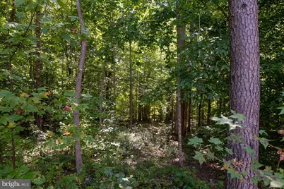 425 Wakerobin Drive, Stafford, VA 22556 - Photo 87