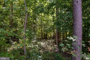 425 Wakerobin Dr, Stafford, VA 22556 - Photo 87