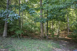4 Oleander Dr, Stafford, VA 22554 - Photo 47