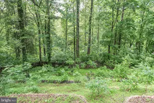 289 Sandy Ridge Rd, Fredericksburg, VA 22405 - Photo 35