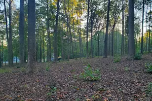 50 Piper Pl, Fredericksburg, VA 22405 - Photo 1