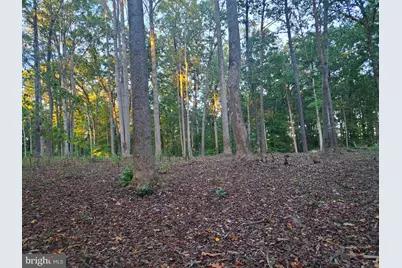 50 Piper Place, Fredericksburg, VA 22405 - Photo 7